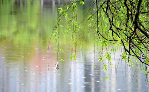 雨中的温暖 —— 鑫兰达新能源在雨季的应用实践